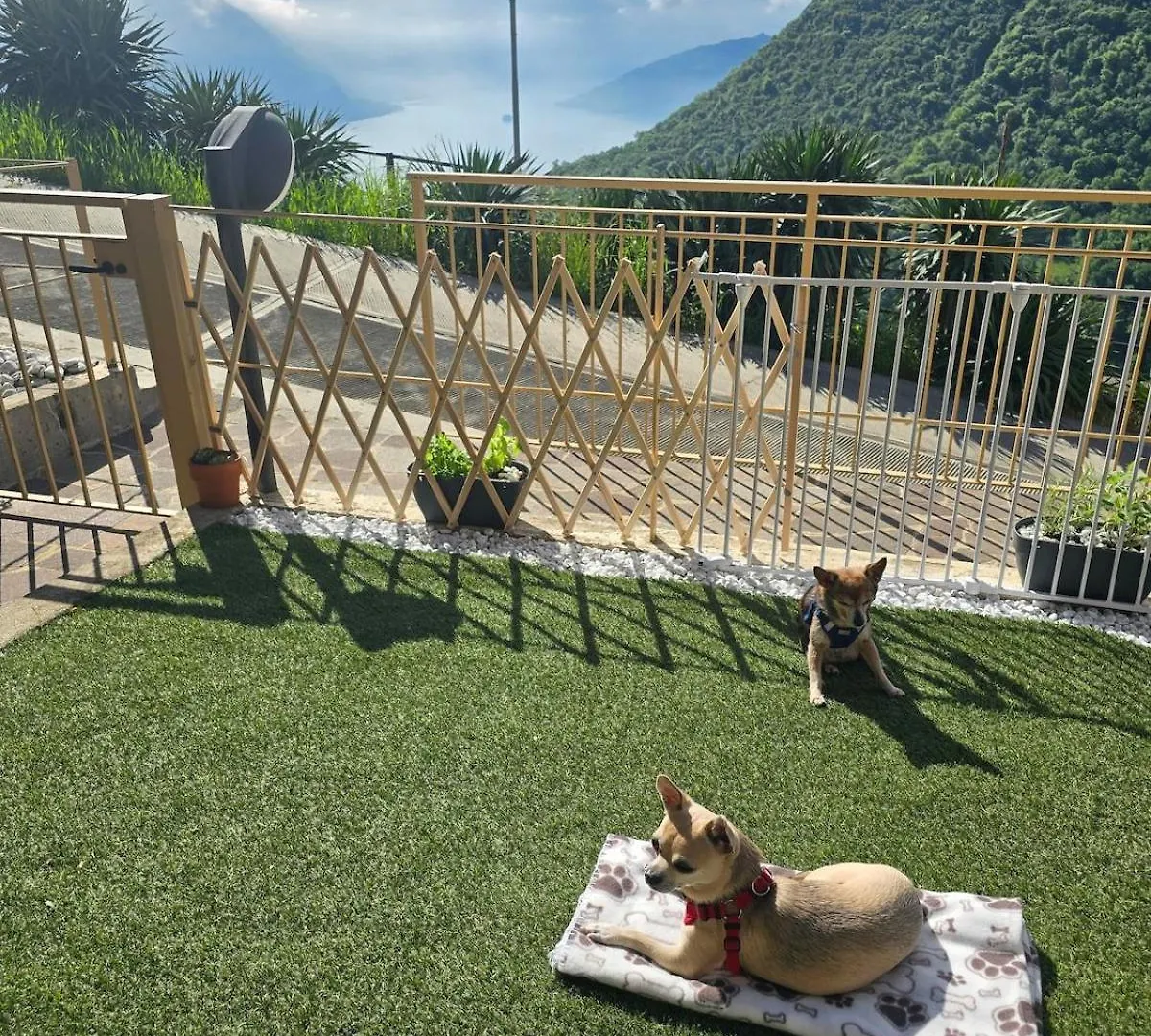 Fonteno Lake View Apartment